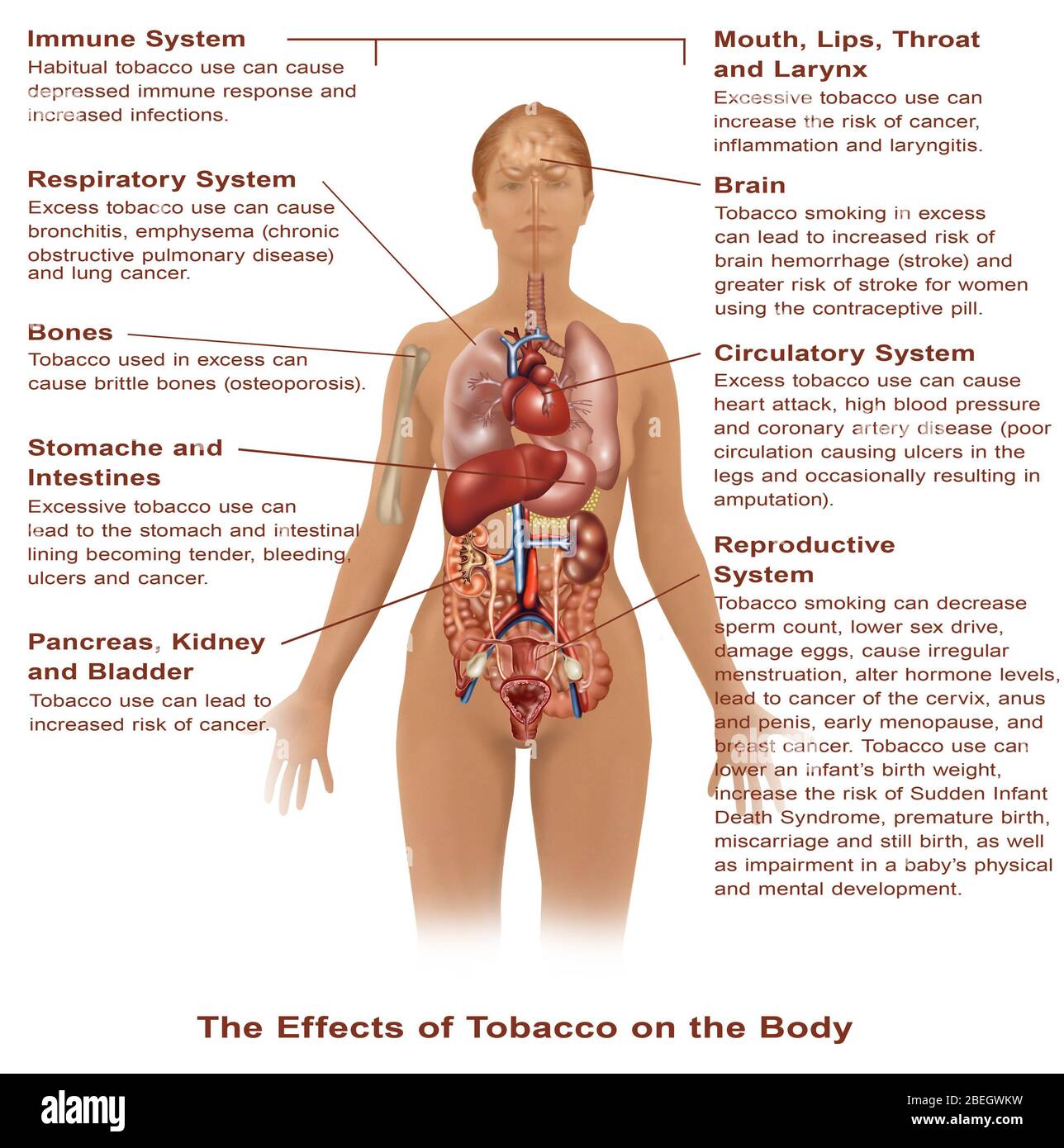 is it ok to smoke one cigarette a day Here's What Just One Cigarette a Day Can Do: Premier Cardiology Consultants: Cardiologists is it ok to smoke one cigarette a day Here's What Just One Cigarette a Day Can Do: Premier Cardiology Consultants: Cardiologists