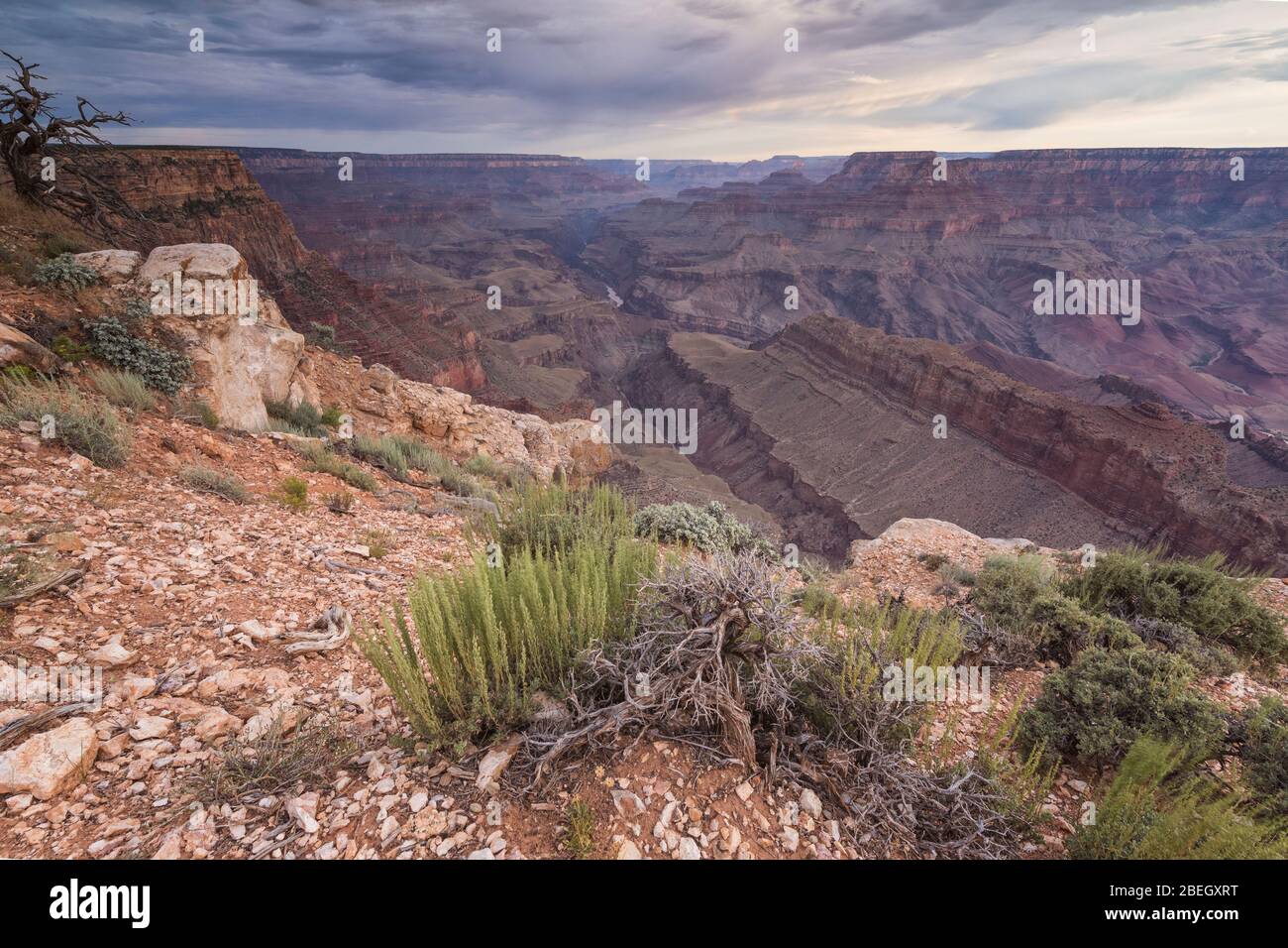 Surmontez le Grand Canyon depuis le point de mohait Banque D'Images