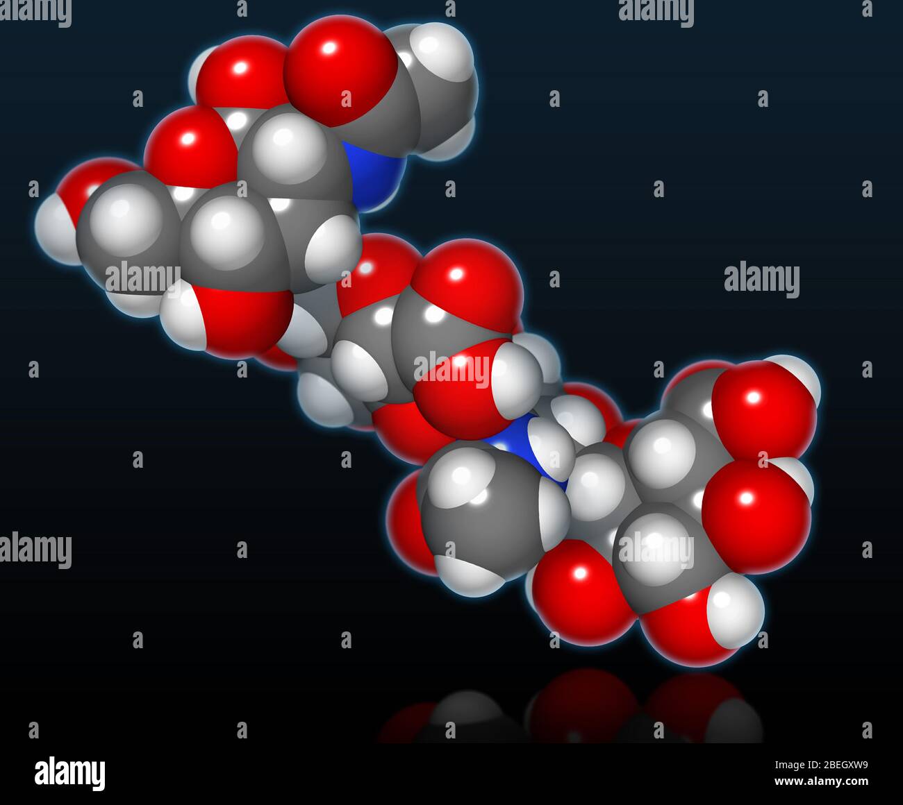 Modèle moléculaire d'acide hyaluronique Banque D'Images