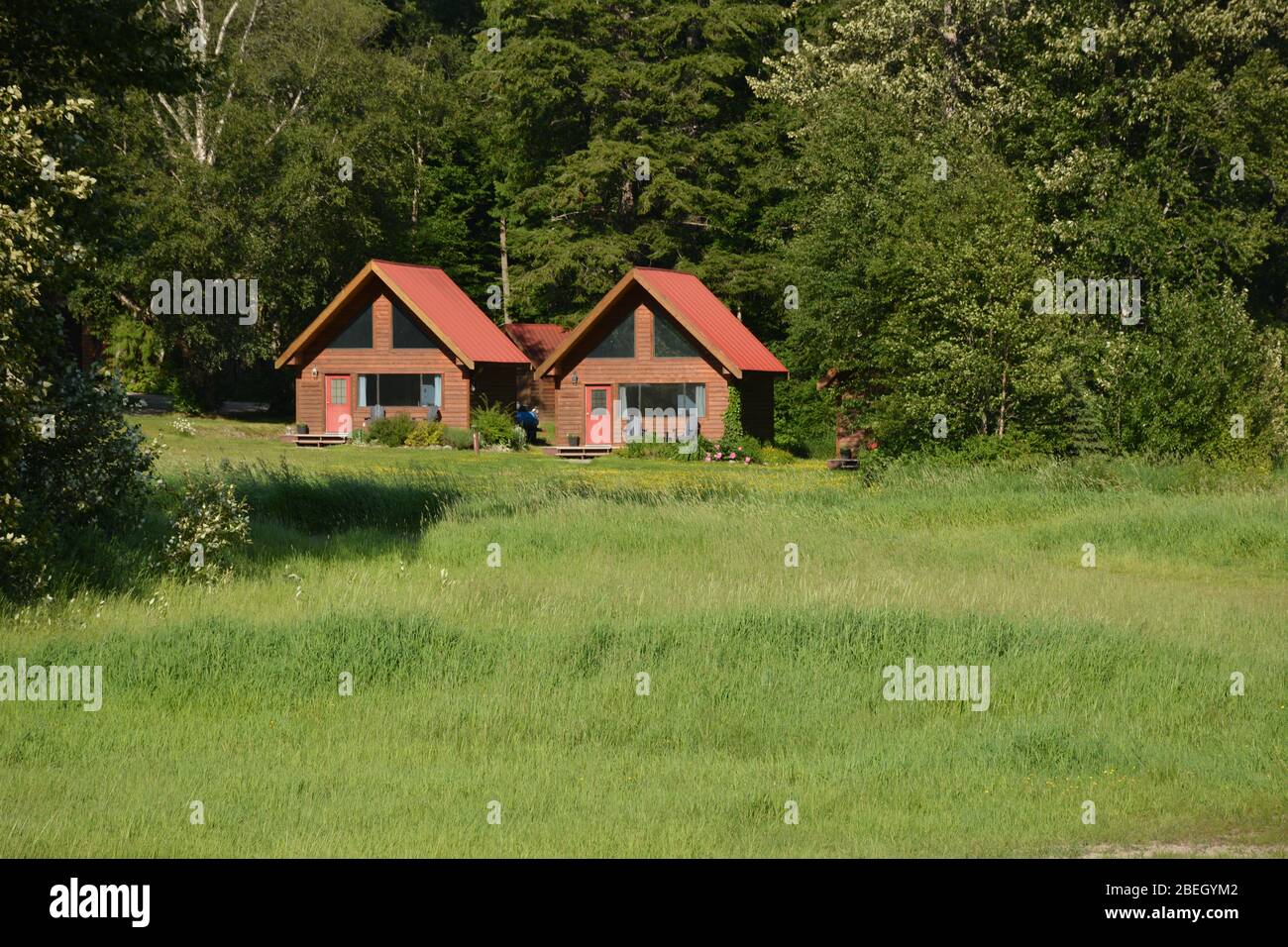 Chalets et terrains du Tweedsmuir Park Lodge, Colombie-Britannique, Canada Banque D'Images