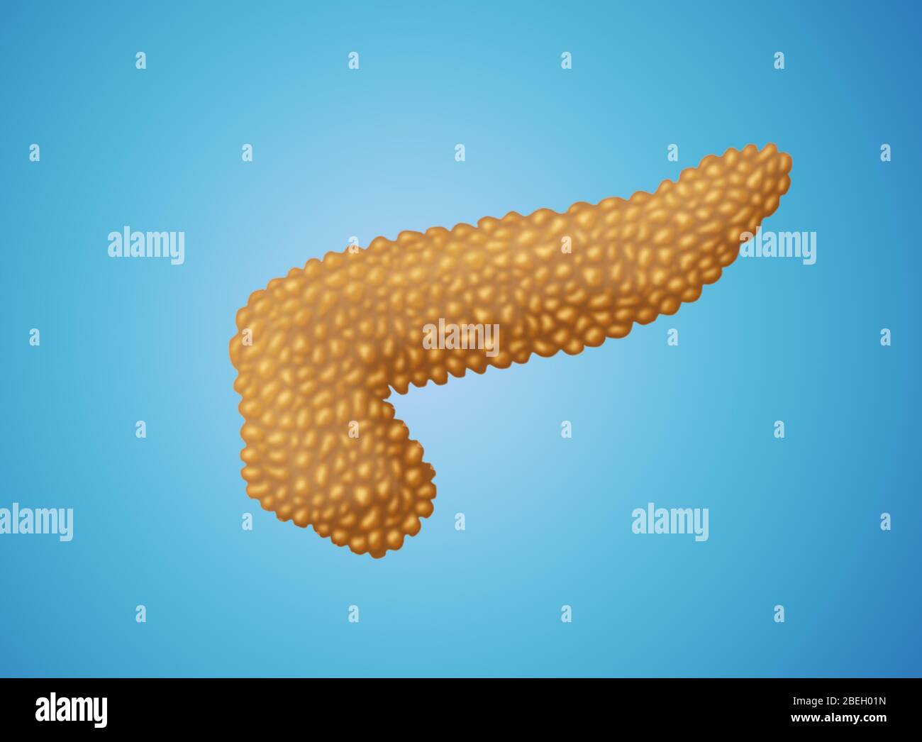 Endocrine pancreas Banque de photographies et d’images à haute ...