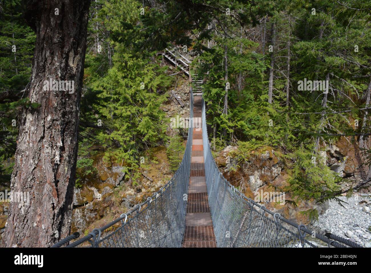 Randonnée au-dessus d'un pont suspendu sur le Burnt Bridge Loop Trail, Bella Coola Valley, Colombie-Britannique, Canada Banque D'Images