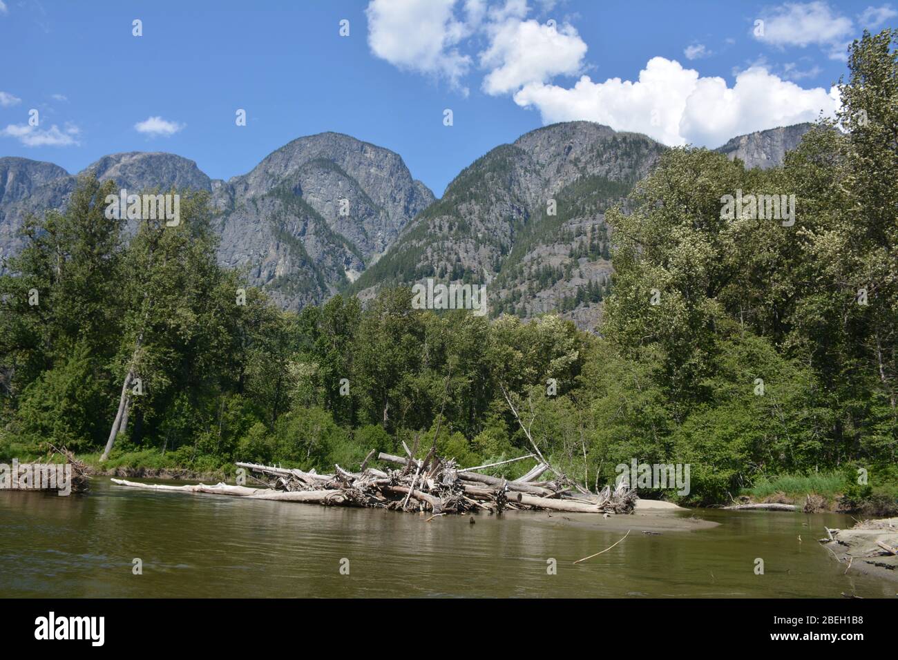 Rafting sur la rivière Atnarko dans la vallée Bella Coola en Colombie-Britannique, Canada Banque D'Images