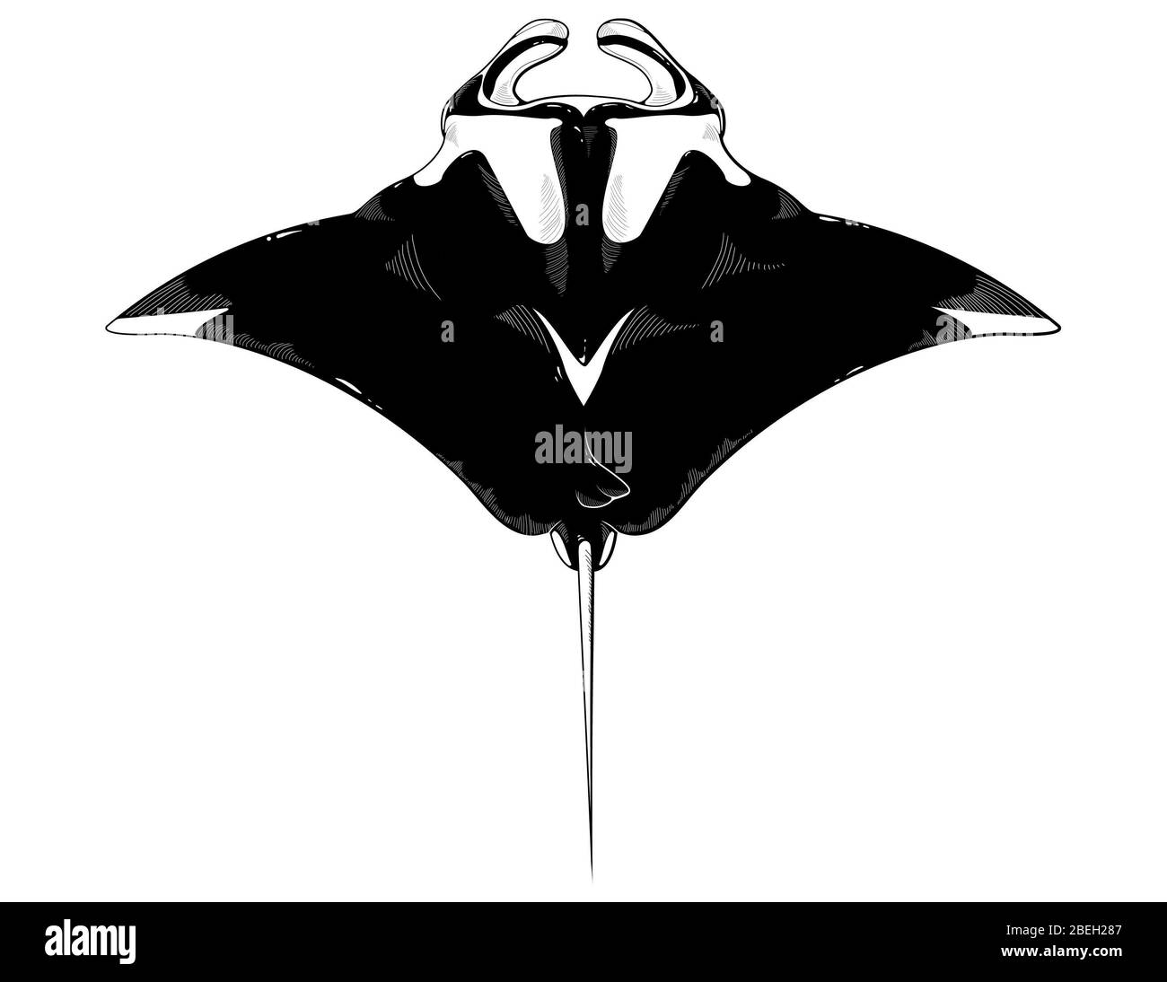 Manta Ray, géant océanique, illustration Banque D'Images
