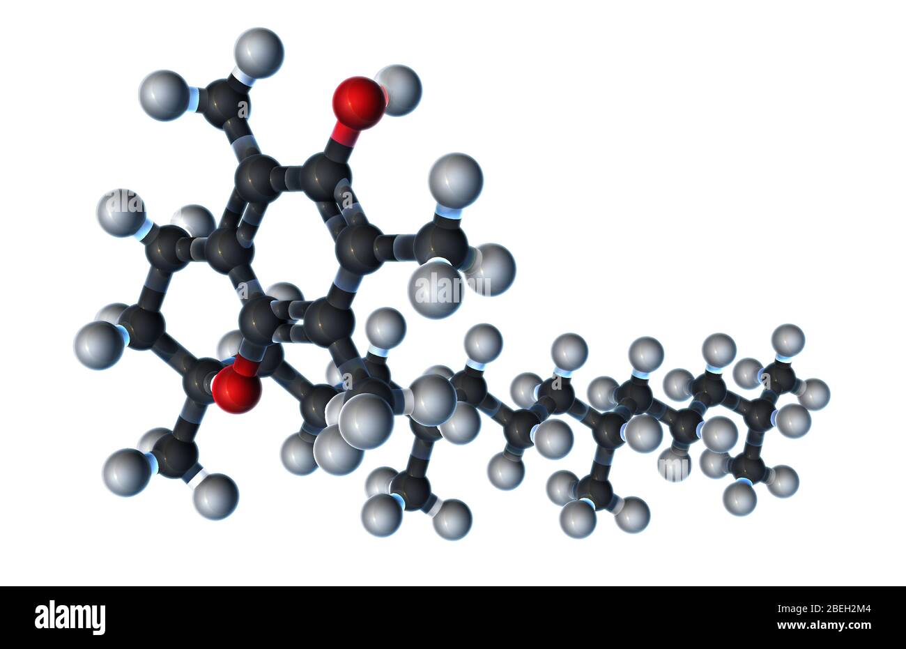 Vitamine E, modèle moléculaire Banque D'Images