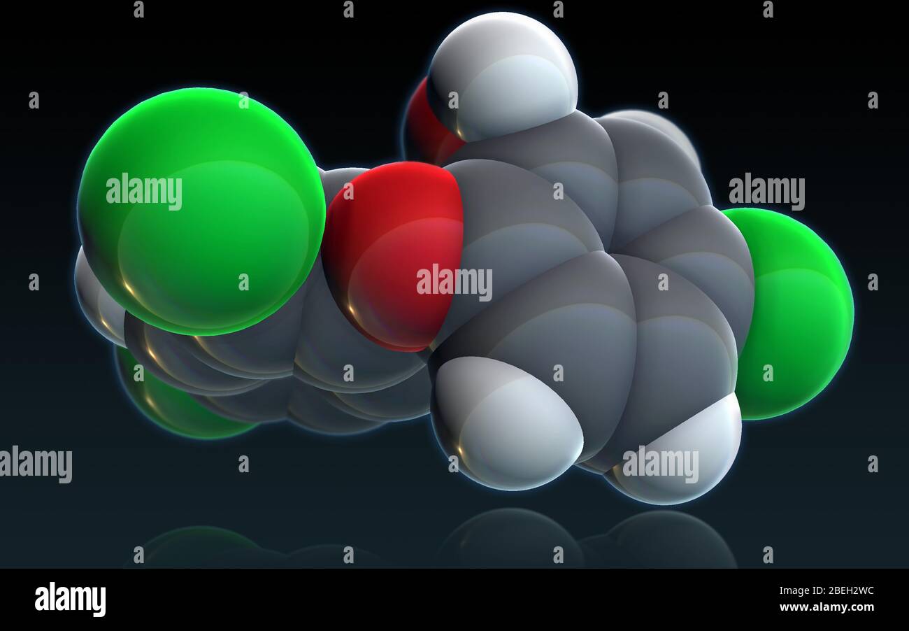 Un modèle moléculaire de triclosan, un agent antibactérien et antifongique utilisé dans de nombreux produits de consommation tels que le savon, le shampooing, le désodorisant, le dentifrice, le bain de bouche et les fournitures de nettoyage. Triclosan agit en inhibant la synthèse des acides gras, un processus nécessaire pour reproduire les membranes cellulaires bactériennes. Les atomes sont de couleur gris foncé (carbone), gris clair (hydrogène), rouge (oxygène) et vert (chlore). Banque D'Images