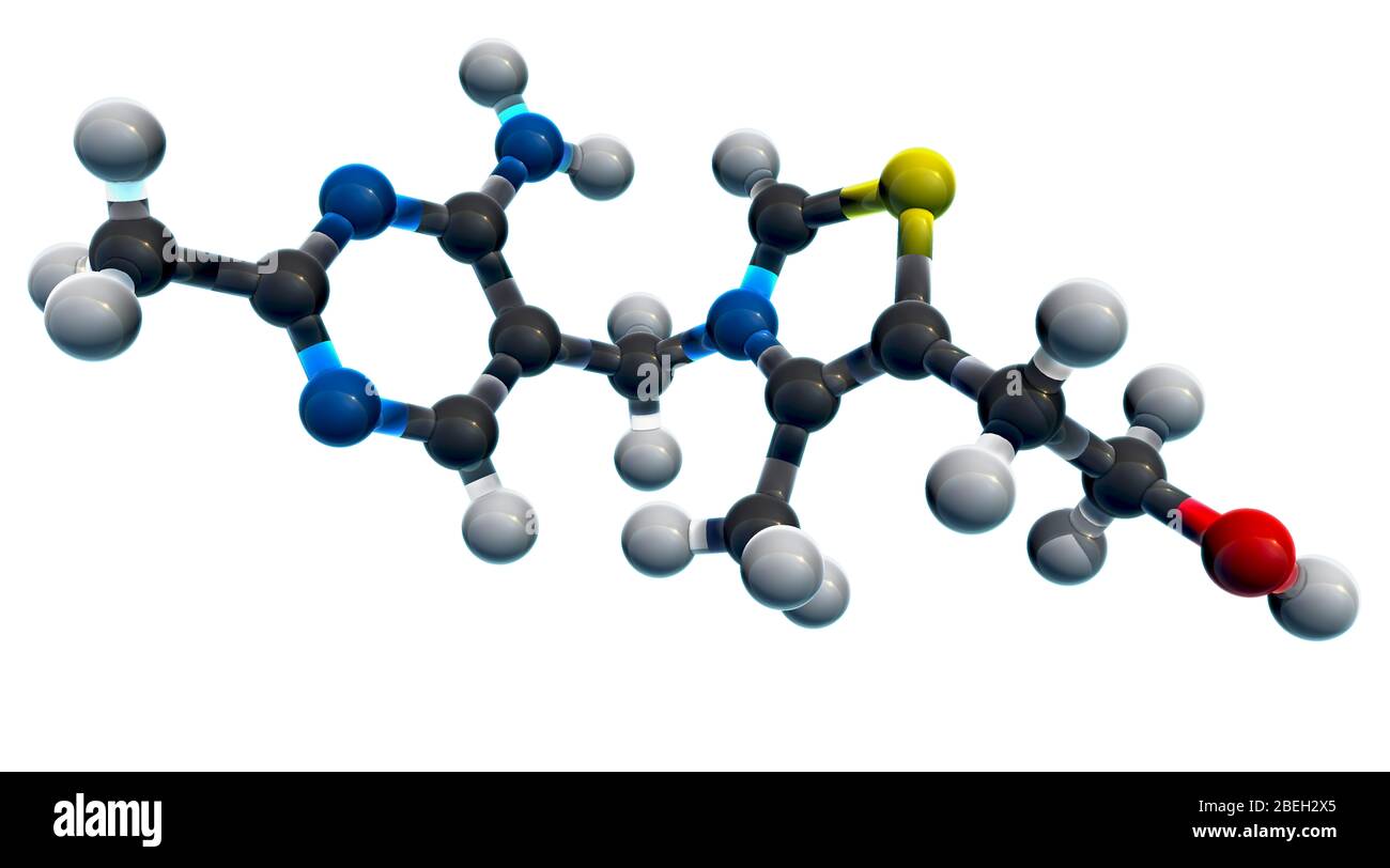 Vitamine B 1, modèle moléculaire Banque D'Images