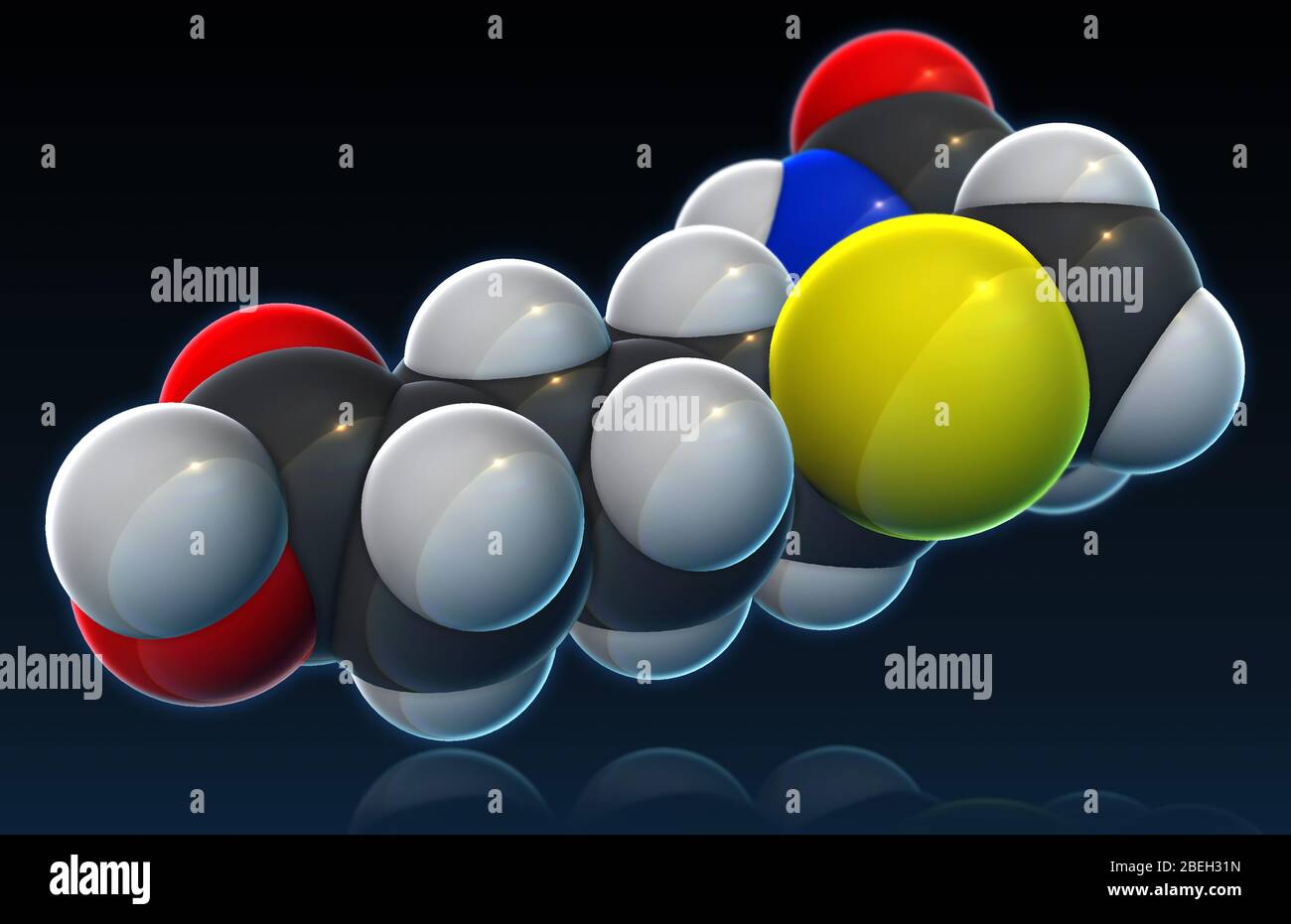 Vitamine B 7, modèle moléculaire Banque D'Images