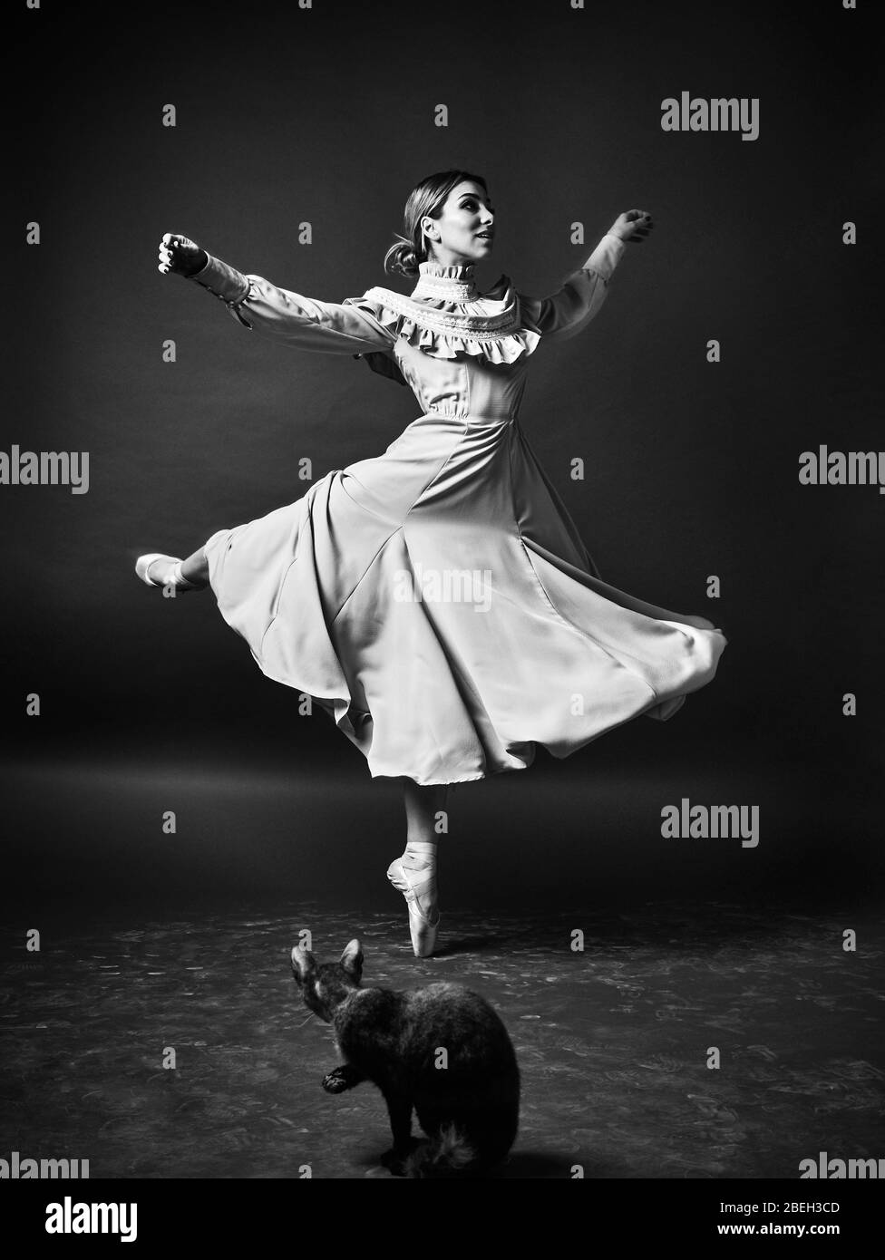 Danseuse De Ballet Ou Ballerina Classique Dansant Isole Noir Et Blanc Photo La Danse La Grace L Artiste Le Contemporain Le Mouvement L Action Et Le Concept De Mouvement Photo Stock Alamy Danseuse De Ballet Ou Ballerina Classique Dansant Isole Noir Et Blanc Photo La Danse La Grace L Artiste Le Contemporain Le Mouvement L Action Et Le Concept De Mouvement Photo Stock Alamy
