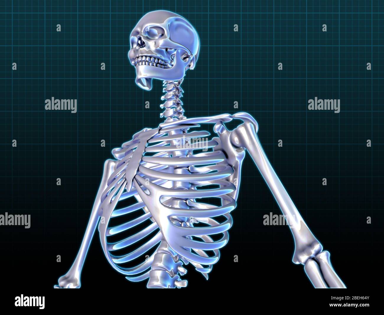 Squelette humain, œuvre d'art Banque D'Images