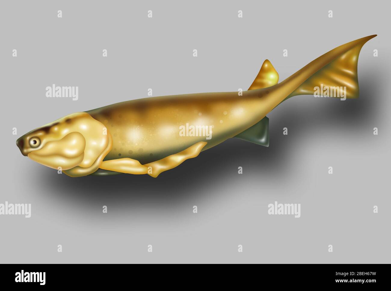 Cheikh, Illustration Banque D'Images