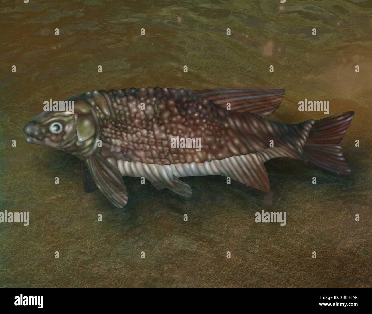 Lepidotus, Illustration Banque D'Images