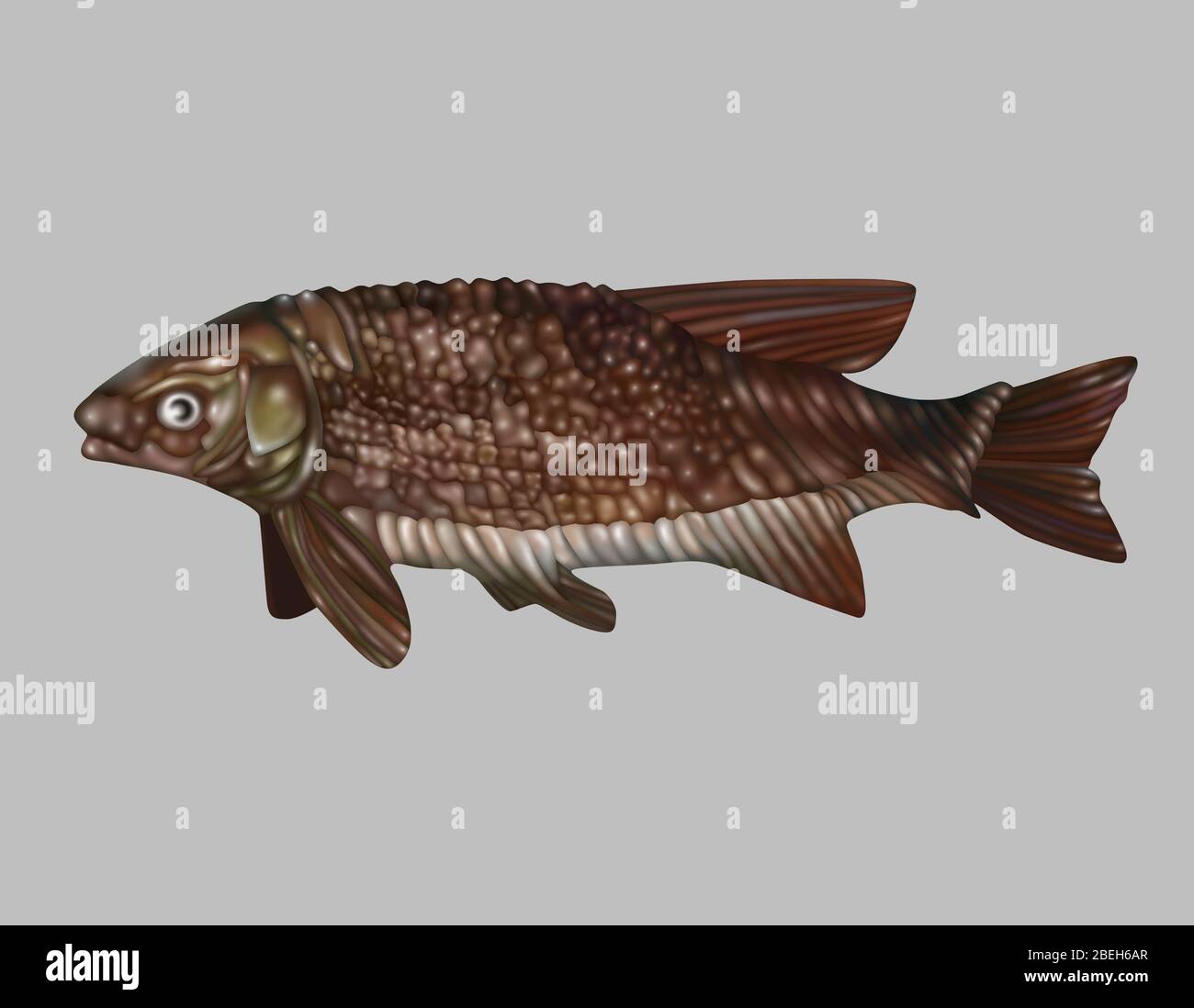 Lepidotus, Illustration Banque D'Images