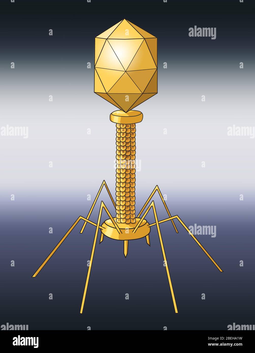 Forme du virus, enveloppée, illustration Banque D'Images
