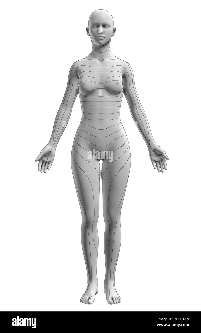 Dermatoses, vue antérieure Banque D'Images