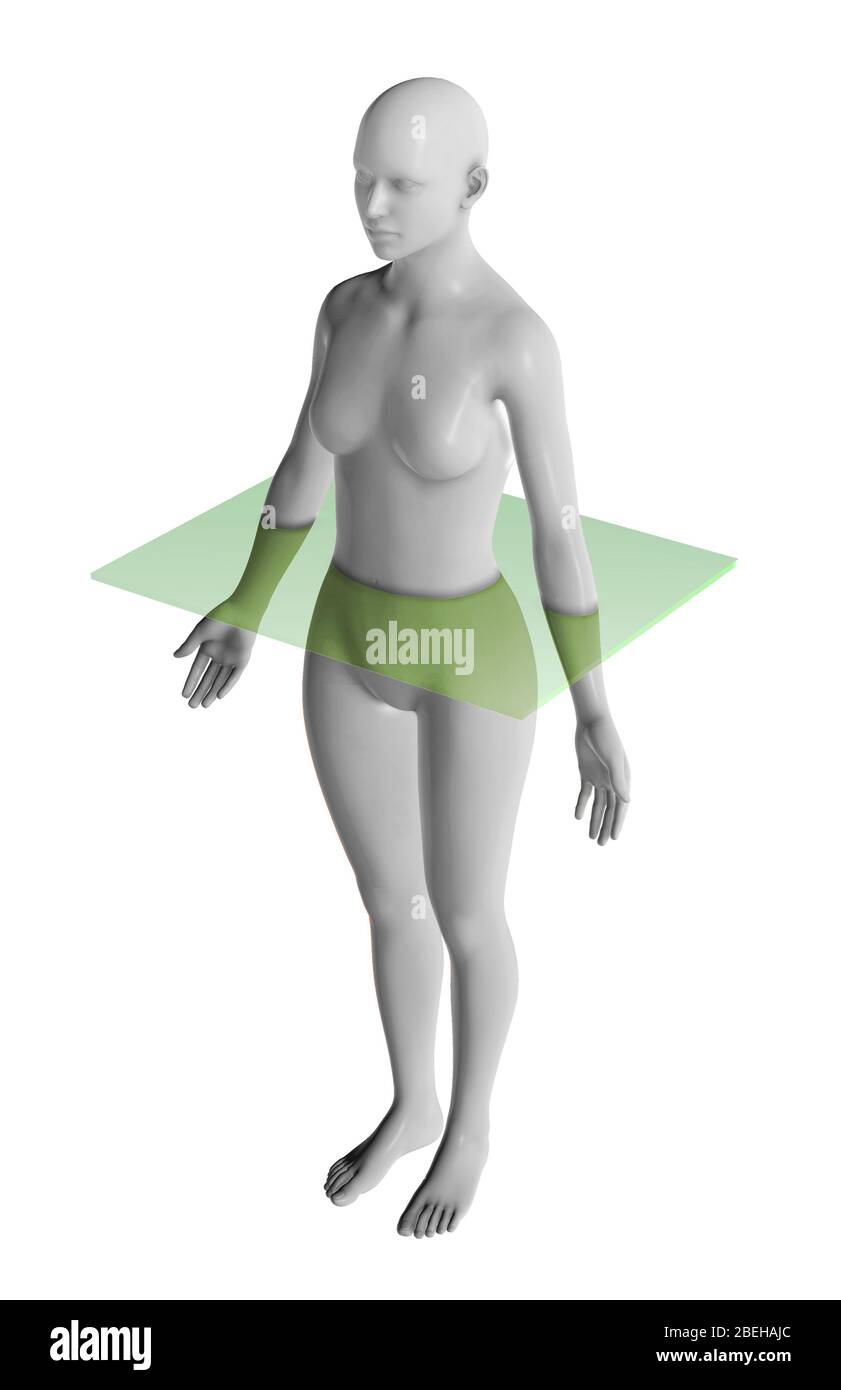 Plan transversal Banque D'Images