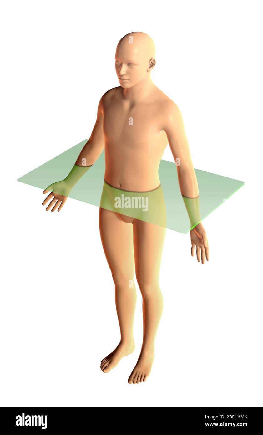 Plan transversal Banque D'Images