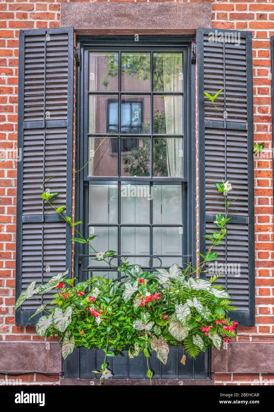 Grande fenêtre dans une ville avec volets bleu/gris et une fenêtre avec des fleurs et des plantes vibrantes.il y a un reflet dans la fenêtre d'une autre fenêtre. Banque D'Images