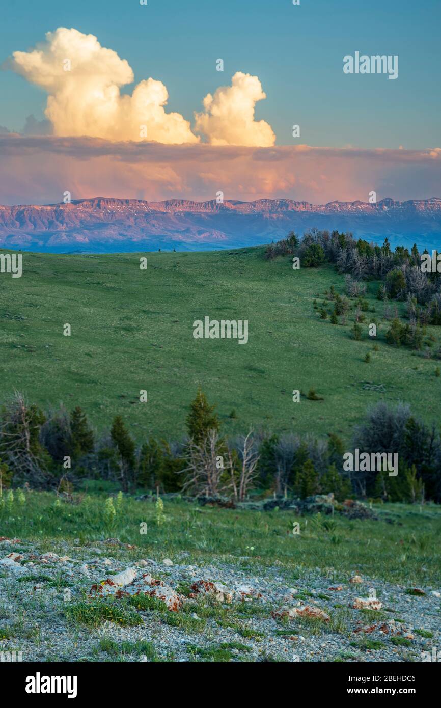 Rattlesnake Mountain dans la forêt nationale de Shoshone, au Wyoming Banque D'Images
