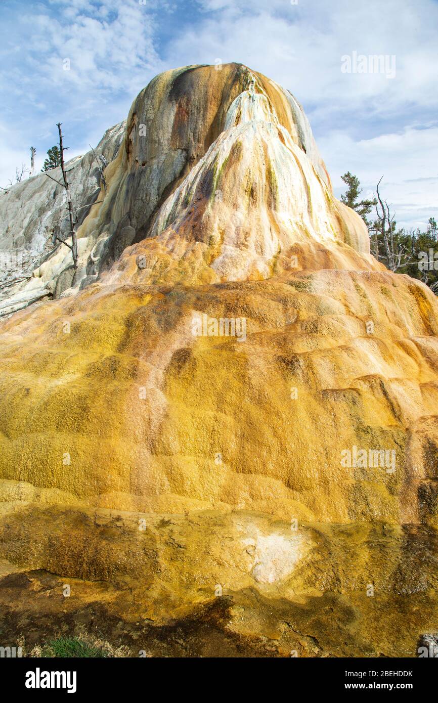 Le chien de la Orange Spring dans le parc national de Yellowstone Banque D'Images