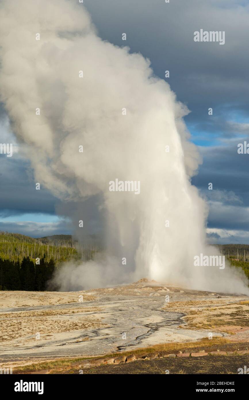 Un vieux geyser fidèle éclate dans le parc national de Yellowstone Banque D'Images