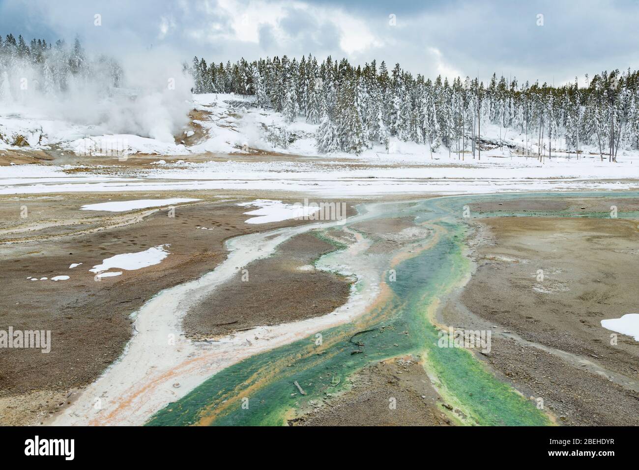 Tapis bactériens colorés dans le bassin de porcelaine du parc national de Yellowstone Banque D'Images