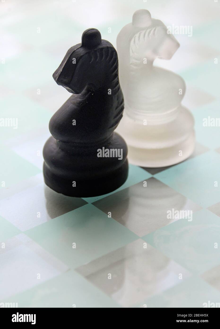 Pièces d'échecs noir et blanc en verre à motif chevalier sur planche de verre. Banque D'Images