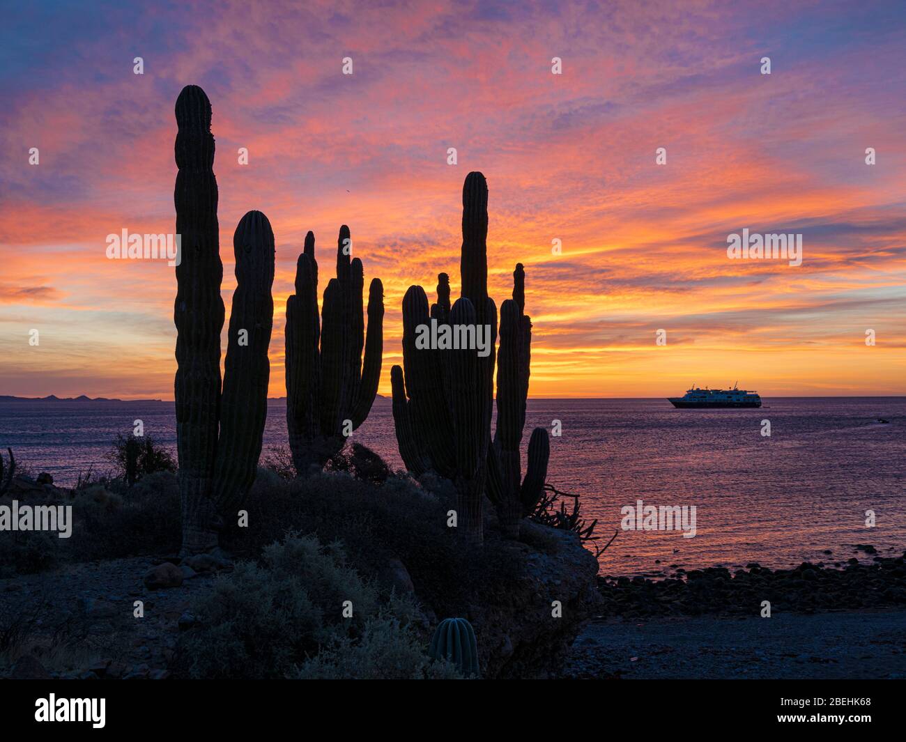 Le National Geographic Venture au lever du soleil à Isla San Esteban, Baja California, Mexique. Banque D'Images
