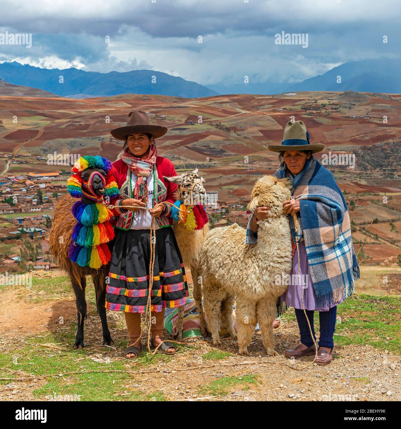 Photo carrée de deux femmes autochtones quechua avec deux lama et une alpaga, Vallée Sacrée de l'Inca, Cusco, Pérou. Banque D'Images
