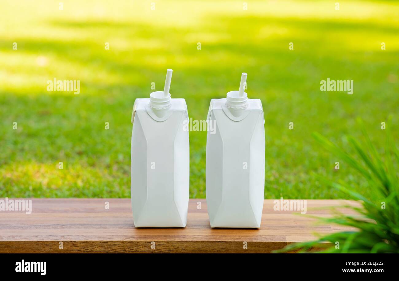 Les concepts de boisson de fruits et légumes avec un assortiment de bouteilles sur table en bois dans le jardin matin fond.rafraîchissement du corps vitamine.santé et Banque D'Images