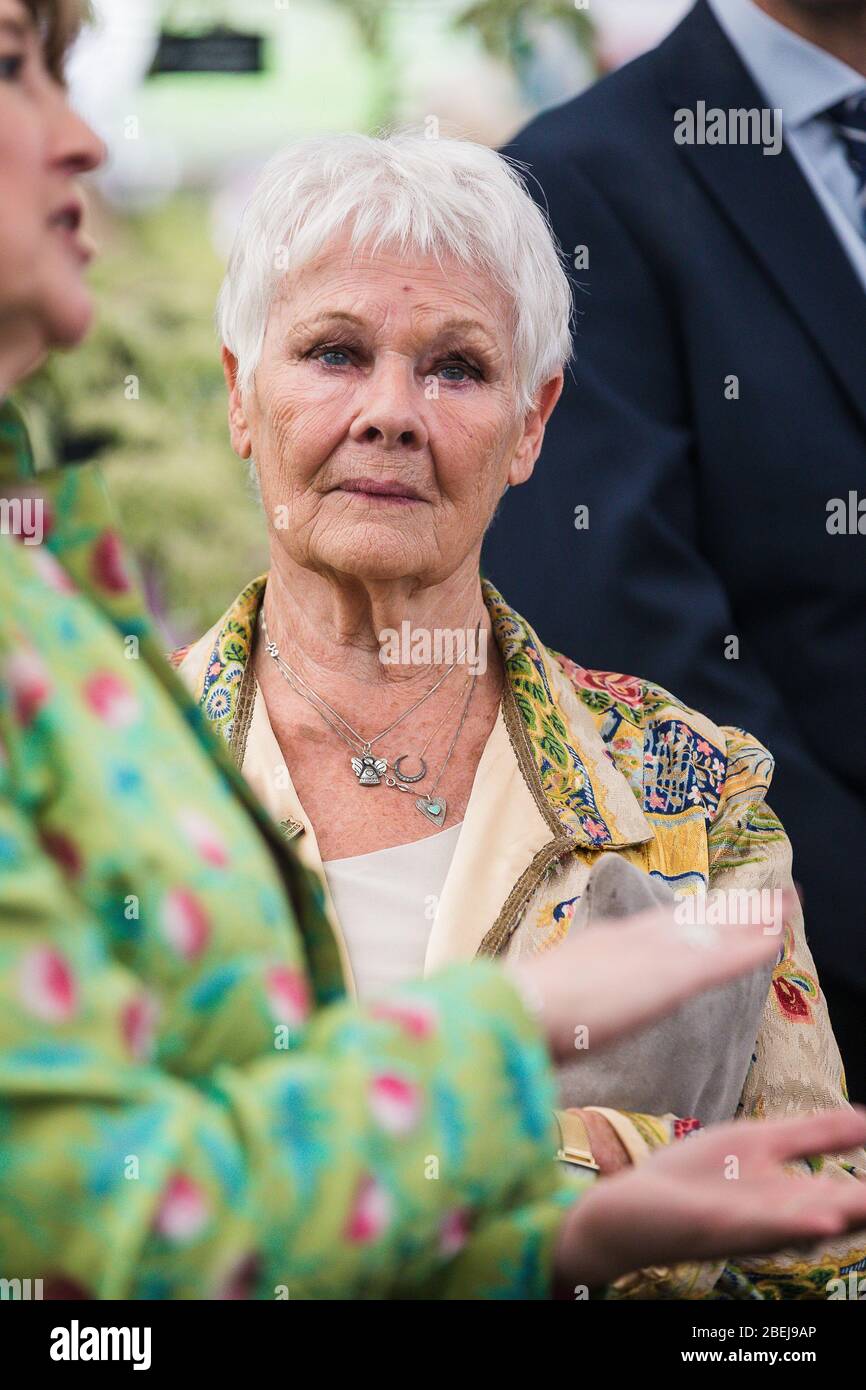 Londres, Royaume-Uni. Mai 2019. Madame Judi Dench assiste à la journée d'ouverture du salon de fleurs Chelsea 2019. Banque D'Images