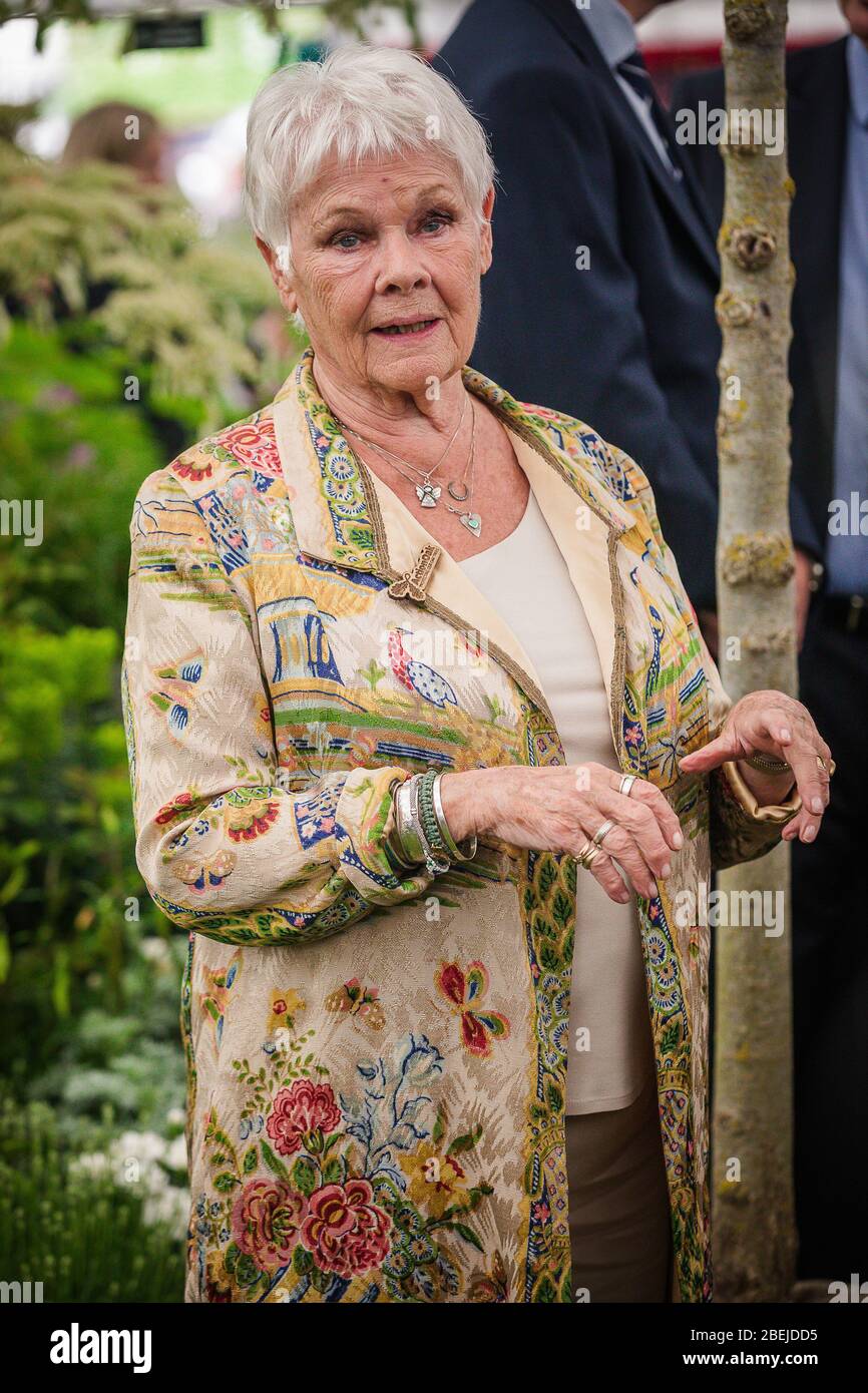 Londres, Royaume-Uni. Mai 2019. Madame Judi Dench assiste à la journée d'ouverture du salon de fleurs Chelsea 2019. Banque D'Images