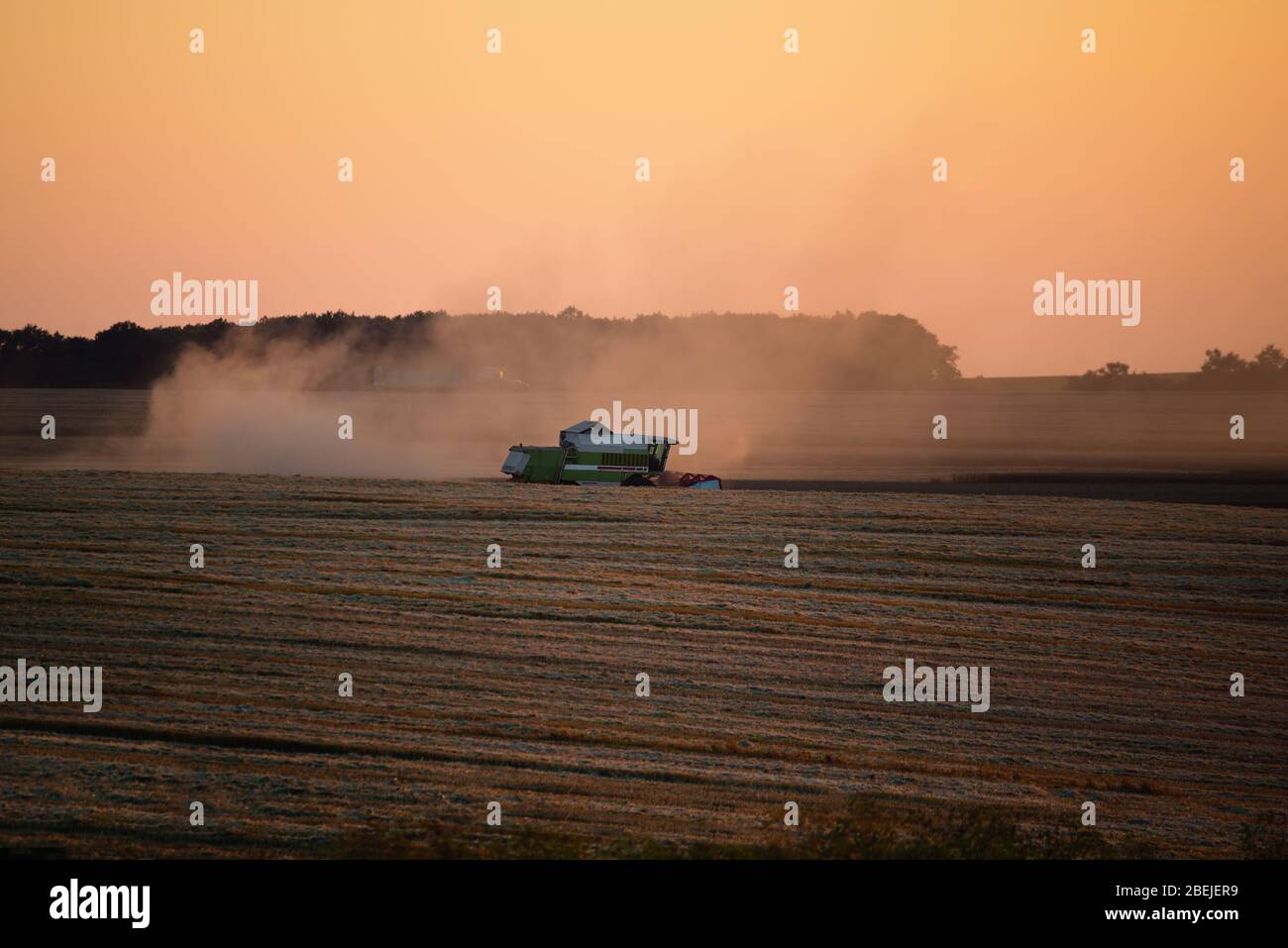 Machine de récolteuse travaillant dans le champ au coucher du soleil. Banque D'Images