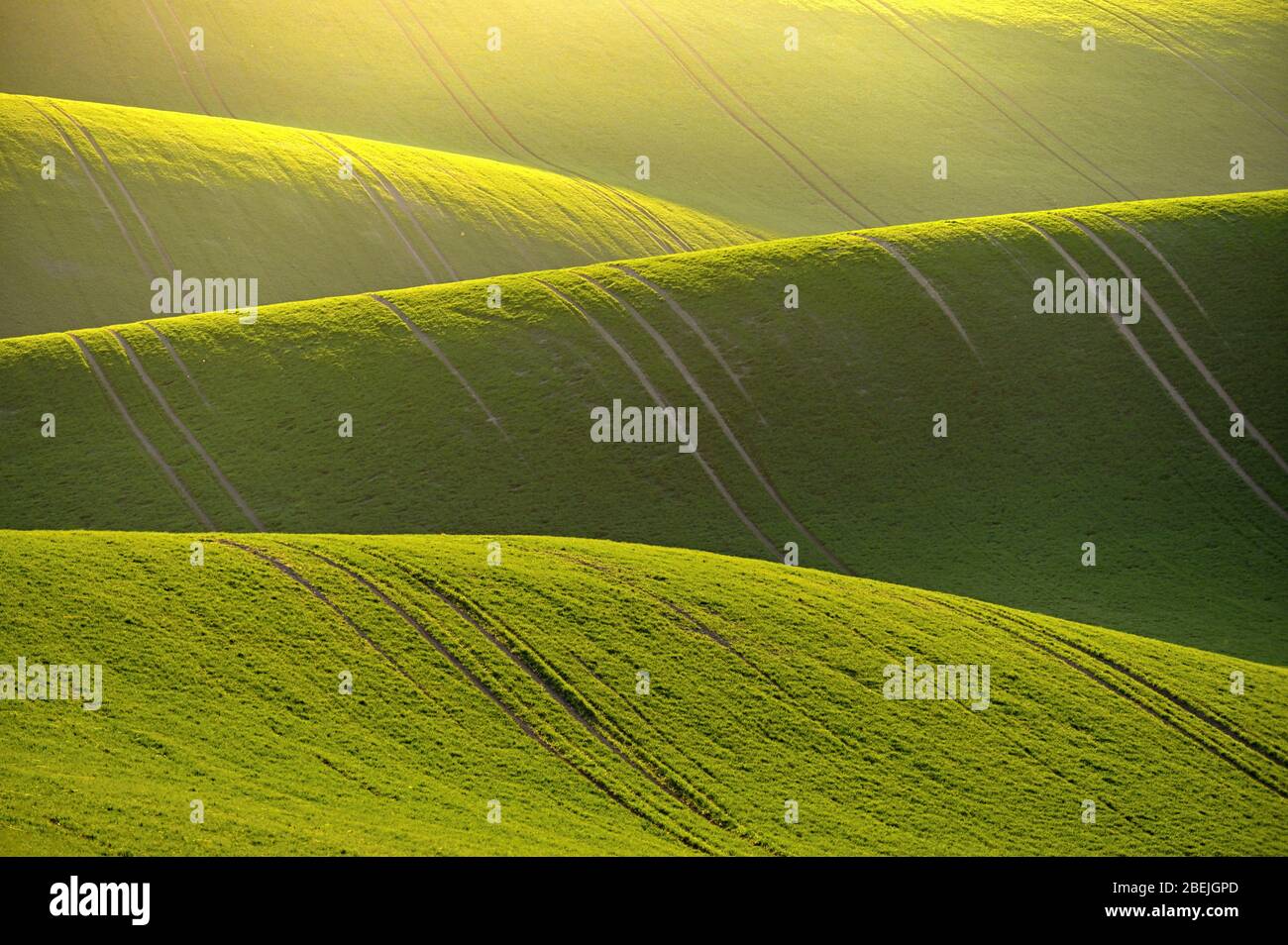 Magnifique paysage printanier avec champ de collines d'herbe au coucher du soleil. Vagues dans la nature Moravian Toscane - République tchèque - Europe. Banque D'Images