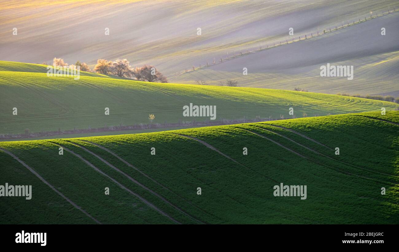 Magnifique paysage printanier avec champ de collines d'herbe au coucher du soleil. Vagues dans la nature Moravian Toscane - République tchèque - Europe. Banque D'Images