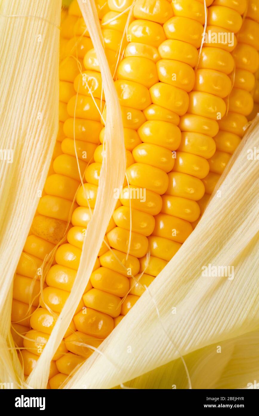 rafle avec des grains de maïs mûrs et frais au premier plan Banque D'Images