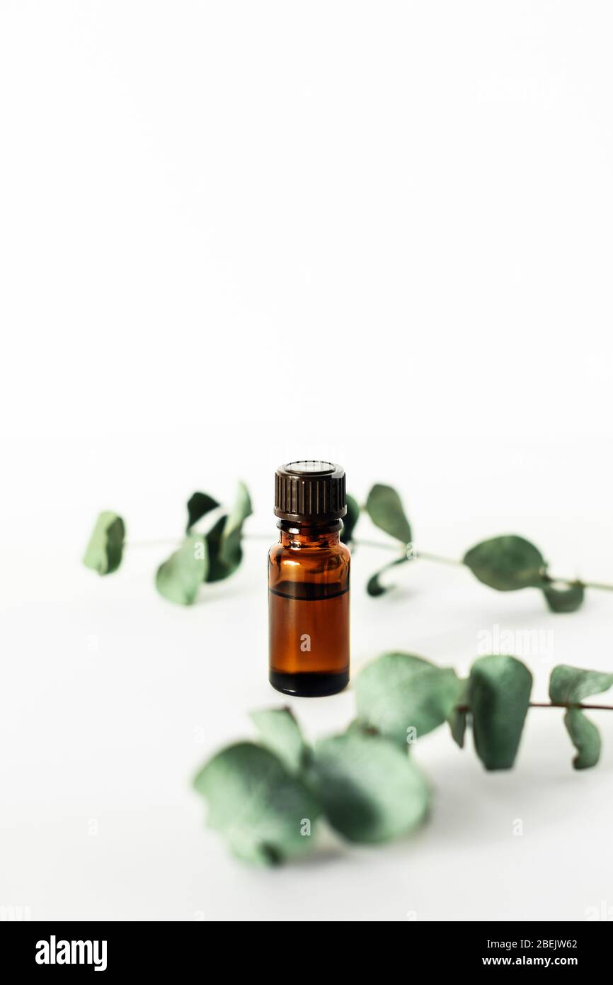 Une bouteille d'huile cosmétique ou essentielle parfumée sur fond blanc entourée de branches d'eucalyptus. Banque D'Images