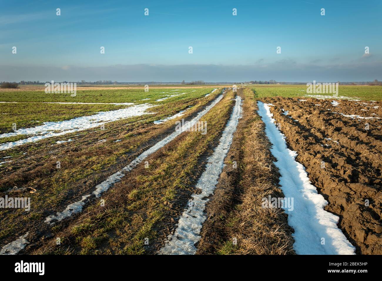 Dernier neige sur une route de terre à travers les champs, l'horizon et le ciel bleu du soir Banque D'Images