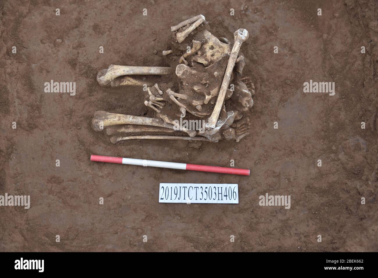 (200414) -- JIYUAN, 14 avril 2020 (Xinhua) -- la photo de fichier non daté montre que les os humains restent en position de pétrissage du site de Chaizhuang à Jiyuan, dans la province du Henan en Chine centrale. Les archéologues ont découvert des os humains en position de pétrissage dans un puits sacrificiel de ruines datant de la dynastie Shang tardive (1600 BC-1046 BC) dans la province de Henan en Chine centrale, qui prouve un glyphe dans l'inscription osseuse oracle de l'enterrement. Dans l'excavation du site de Chaizhuang à Jiyuan, les archéologues ont trouvé un grand nombre de tombes de la dynastie de Shang tardive, fournissant des preuves pour l'uts Banque D'Images (200414) -- JIYUAN, 14 avril 2020 (Xinhua) -- la photo de fichier non daté montre que les os humains restent en position de pétrissage du site de Chaizhuang à Jiyuan, dans la province du Henan en Chine centrale. Les archéologues ont découvert des os humains en position de pétrissage dans un puits sacrificiel de ruines datant de la dynastie Shang tardive (1600 BC-1046 BC) dans la province de Henan en Chine centrale, qui prouve un glyphe dans l'inscription osseuse oracle de l'enterrement. Dans l'excavation du site de Chaizhuang à Jiyuan, les archéologues ont trouvé un grand nombre de tombes de la dynastie de Shang tardive, fournissant des preuves pour l'uts Banque D'Images