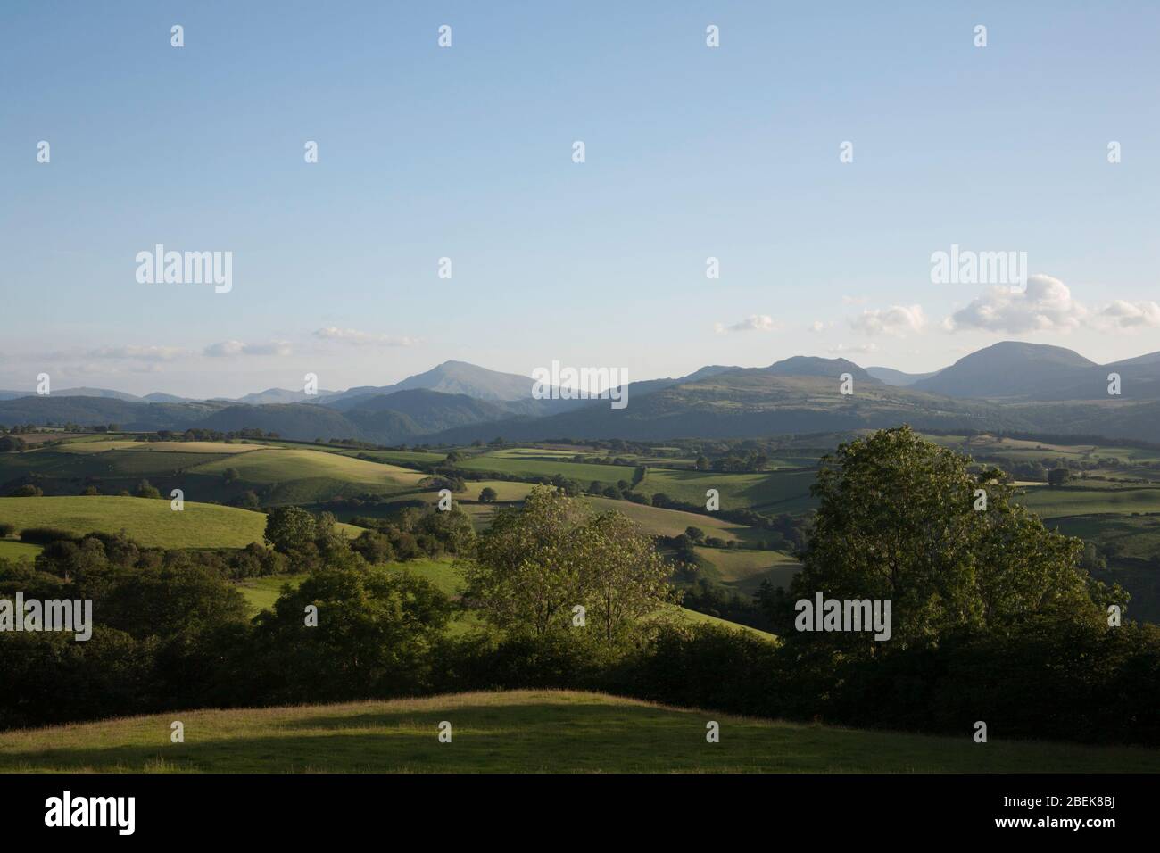 Moel Siabod et les montagnes le long de la vallée de Conwy Snowdonia lors d'une soirée d'été près du village d'Eglwysbach Conwy North Wales Banque D'Images