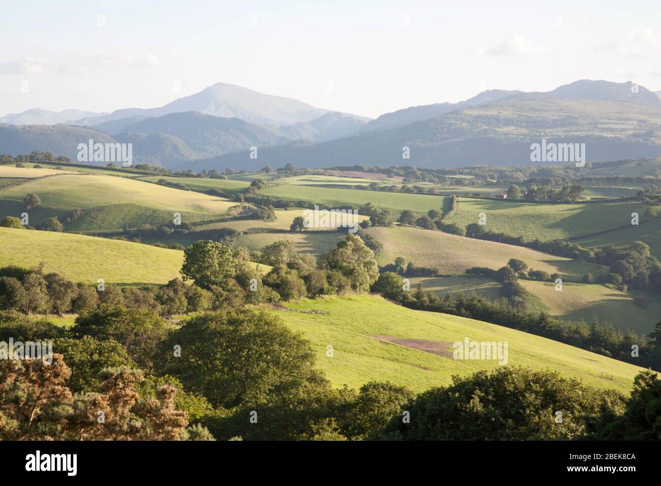 Moel Siabod et les montagnes le long de la vallée de Conwy Snowdonia lors d'une soirée d'été près du village d'Eglwysbach Conwy North Wales Banque D'Images