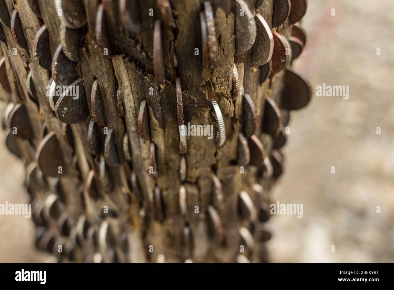 Les pièces sont martelées dans des soi-disant « arbres de souhaits » le long du chemin vers Snowdon Peak. Banque D'Images