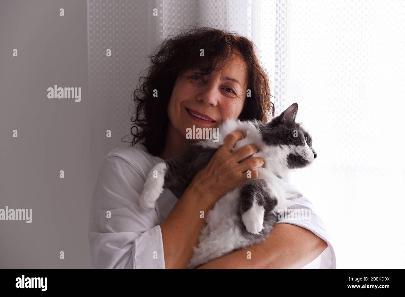 Femme et chat entre les mains. Belle dame adulte tient un animal de compagnie moelleux dans ses bras. Relations amicales entre animaux et humains. Espace libre pour le texte. Mise au point douce. Banque D'Images