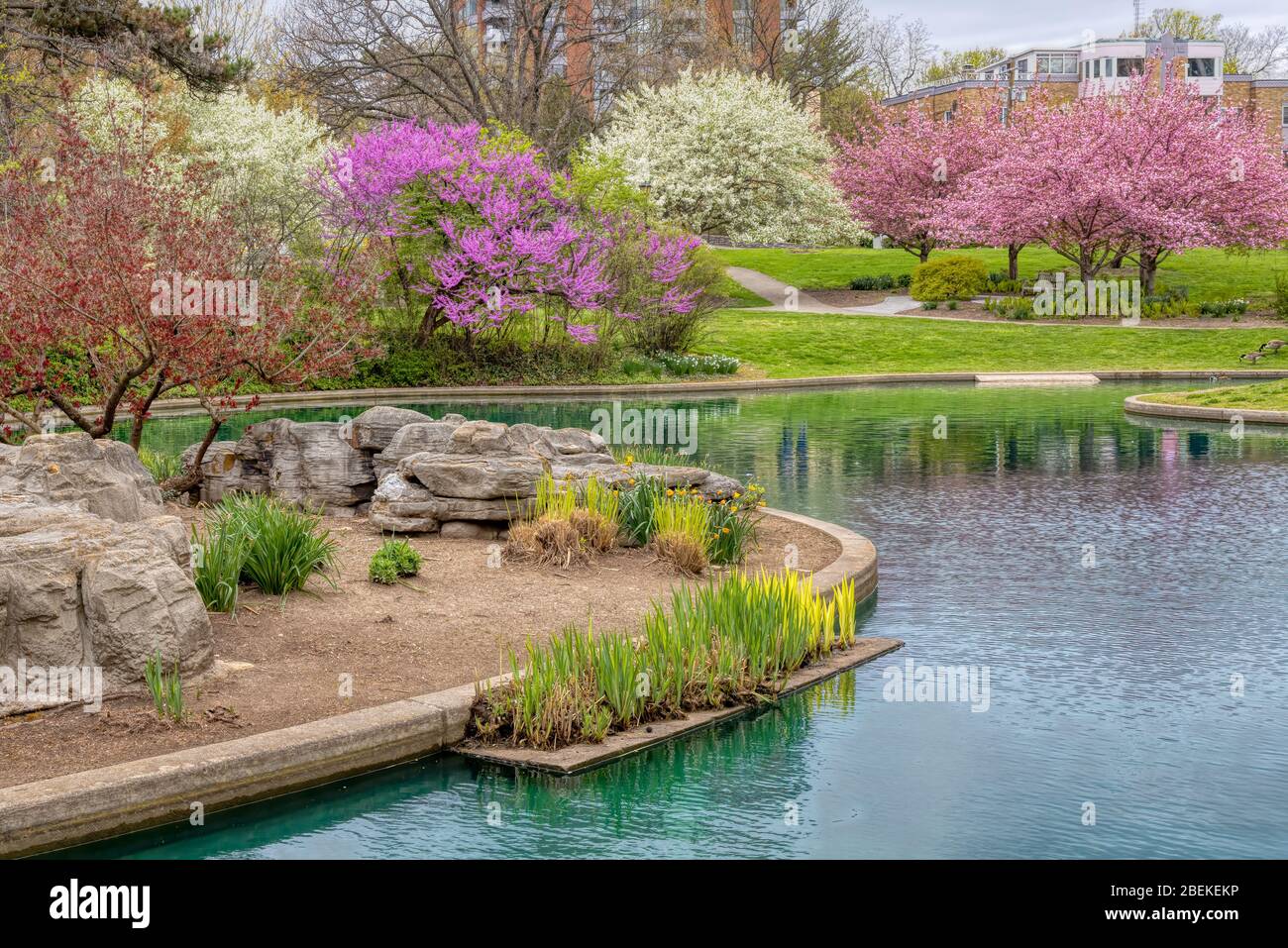 Fleurs et arbres en fleurs au printemps à Eden Park, Cincinnati, États-Unis Banque D'Images