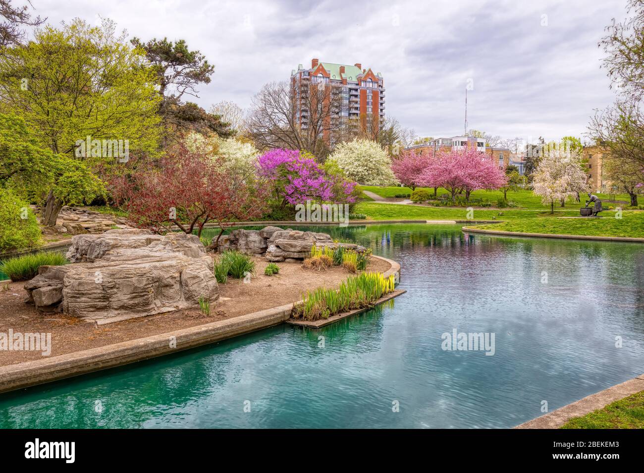 Fleurs et arbres en fleurs au printemps à Eden Park, Cincinnati, États-Unis Banque D'Images