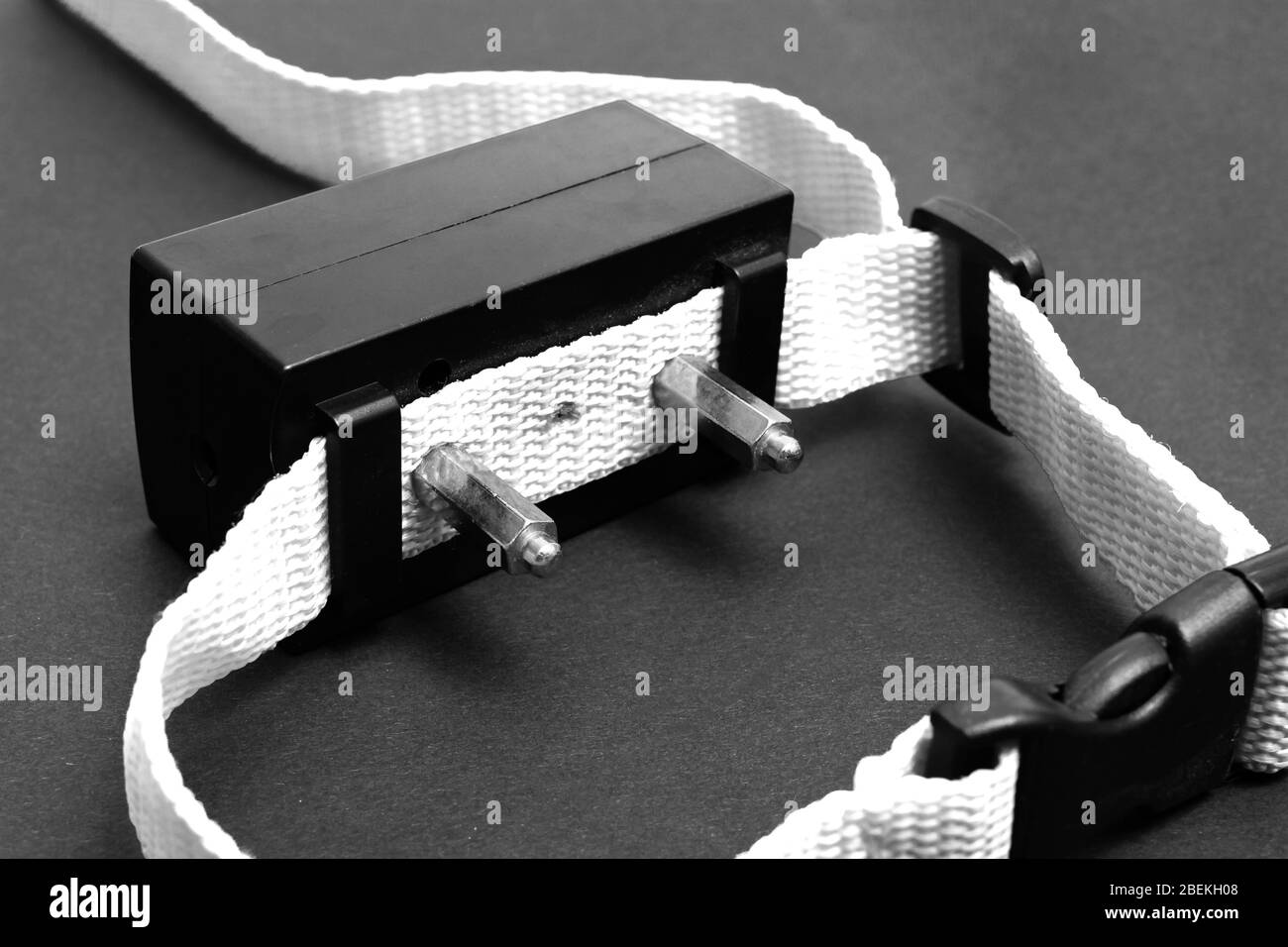 Collier rouge avec choc électrique pour chien en noir et blanc Banque D'Images