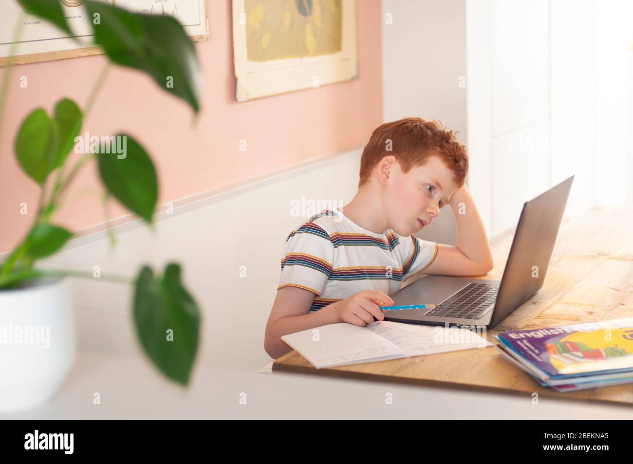 Garçon pré-adolescent se concentrant sur son travail scolaire sur l'ordinateur portable à la maison Banque D'Images