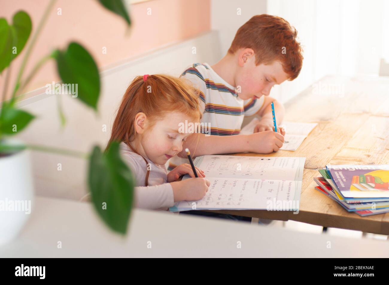 Jeune garçon et jeune fille (frère et soeur) de pré-adolescence, se concentrant sur leur travail scolaire pendant l'école d'âge préscolaire en raison du verrouillage du coronavirus Banque D'Images