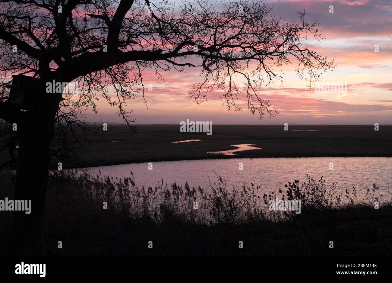 Lever du soleil sur les marais de la réserve naturelle d'Elmley, île de Sheppey, Kent Banque D'Images