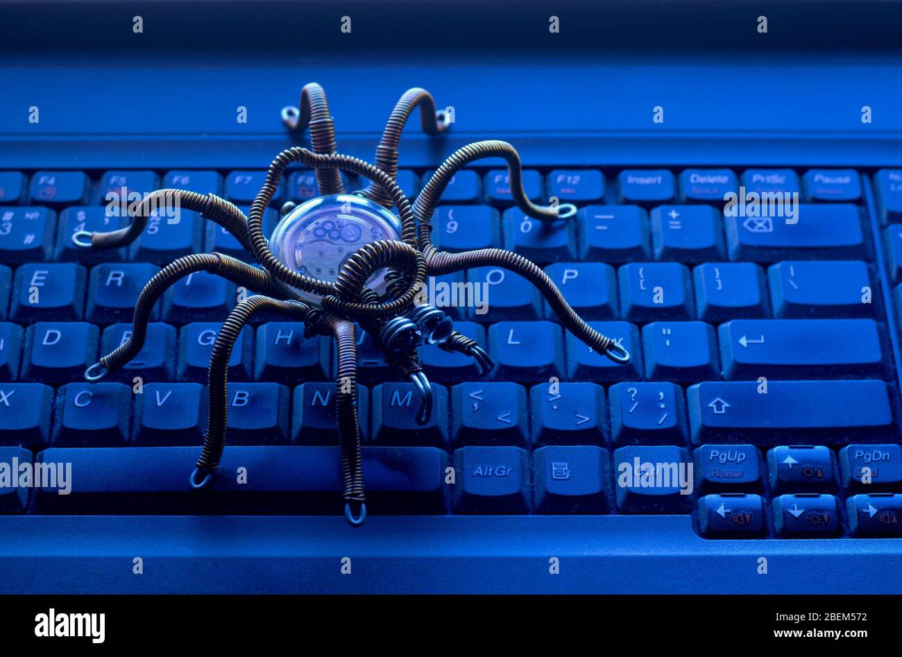 Spider sur le clavier de l'ordinateur, virus, thème de la sécurité de  l'information Photo Stock - Alamy